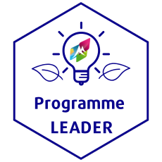 Programme Leader
