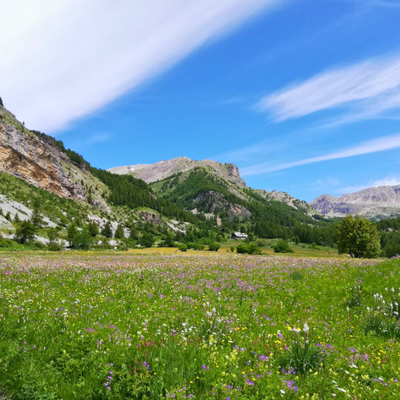 Estenc-printemps_L.Menei Estenc-printemps_L.Menei