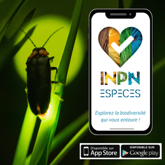 https://inpn.mnhn.fr/accueil/participer/inpn-especesc42 https://inpn.mnhn.fr/accueil/participer/inpn-especesc42