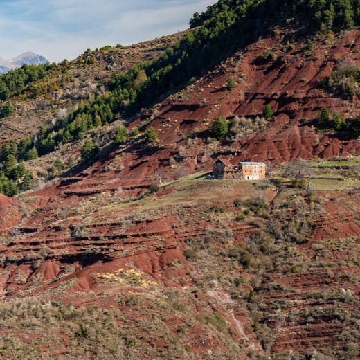 RNR-Roua_©FX.Cuvelier RNR-Roua_©FX.Cuvelier