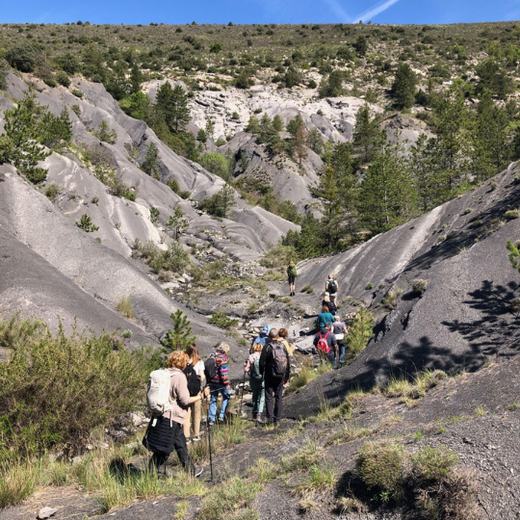 Les Sentiers Gourmands  Les Sentiers Gourmands