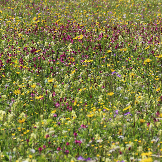 Qu'est-ce qu'un PAEC ? Qu'est-ce qu'un PAEC ?