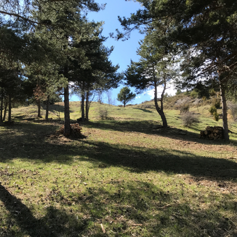 Natura 2000 - Contrats "ni forestiers - ni agricoles"  Natura 2000 - Contrats "ni forestiers - ni agricoles"