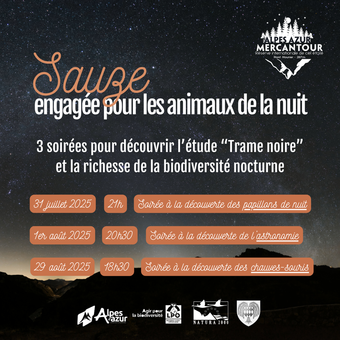 etude-trame-noire etude-trame-noire