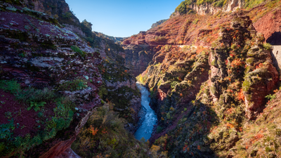 RNR des Gorges de Daluis  RNR des Gorges de Daluis