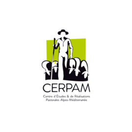 https://cerpam.com/ https://cerpam.com/