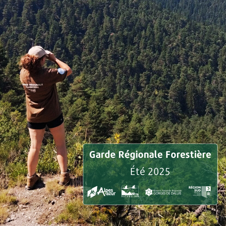 La Garde Régionale Forestière de retour sur les espaces naturels d'Alpes d'Azur La Garde Régionale Forestière de retour sur les espaces naturels d'Alpes d'Azur