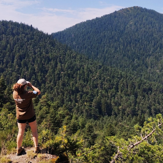 La Garde Régionale Forestière en mission dans les espaces naturels d'Alpes d'Azur La Garde Régionale Forestière en mission dans les espaces naturels d'Alpes d'Azur