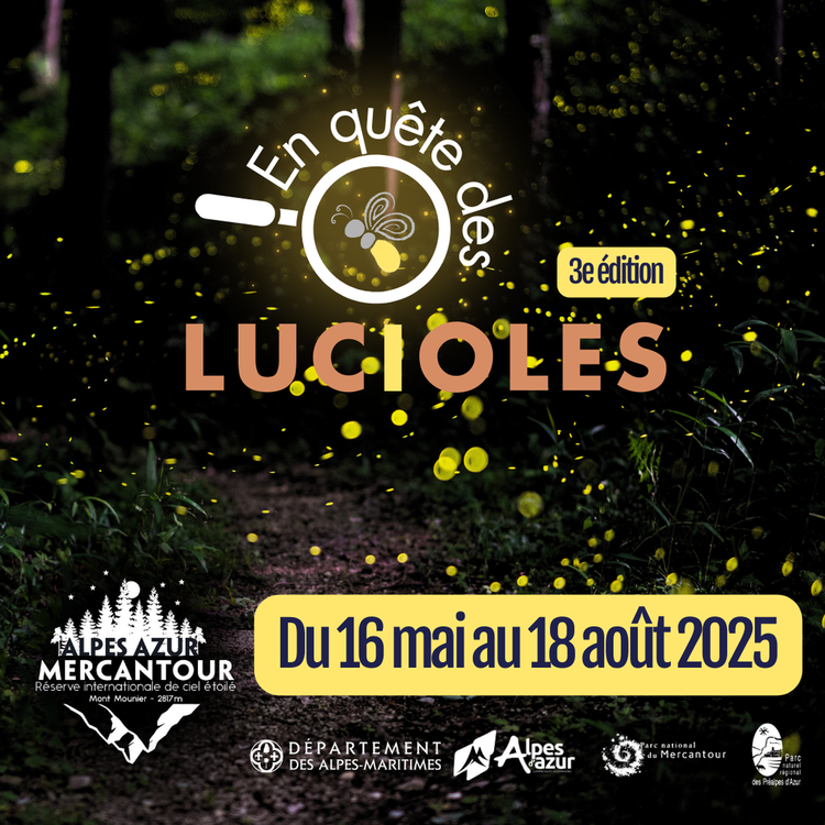 La 3e édition de "En quête des lucioles" est lancée ! La 3e édition de "En quête des lucioles" est lancée !