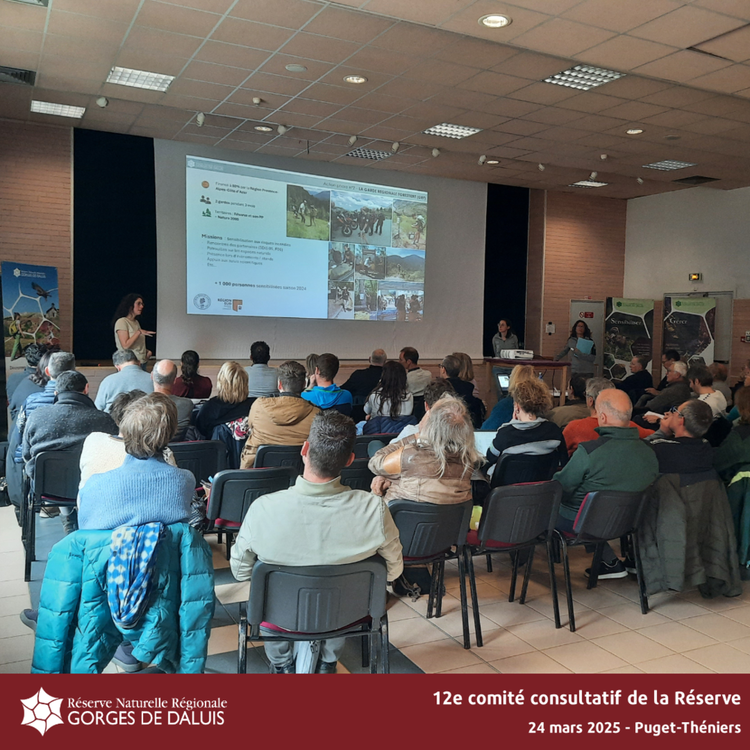 Réserve naturelle régionale des gorges de Daluis : un comité consultatif 2025 exceptionnel Réserve naturelle régionale des gorges de Daluis : un comité consultatif 2025 exceptionnel